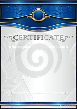 An elegant vertical blank form for creating certificates. With blue accents on a white background.