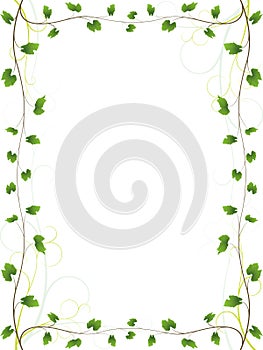 Elegant vine border