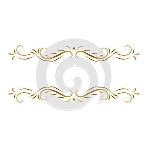 Elegant vintage floral ornament set with decorative elements and abstract patterns photo