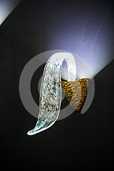 Elegant wall lamp on dark background. Plant shape lamp