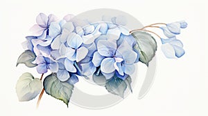 Elegant Watercolor Hydrangeas With Yucca Tree Illustration