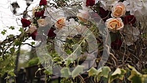 Elegant wedding arch adorned with red, white roses. Outdoor marriage decor, floral arrangement closeup, garden nuptials