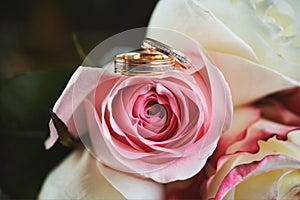 elegant wedding bouquet of white and pink rose flowers. gold wedding rings on the table. preparing for the wedding ceremony