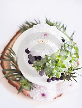 Elegant wedding cake with flowers and succulents.