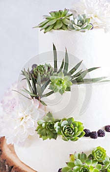 Elegant wedding cake with flowers and succulents.