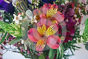 Elegant wedding simple bouquet arrangement of beautiful South African spring flowers