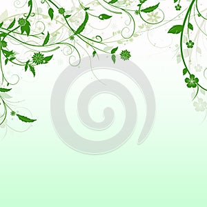 Elegant white and green background with swirls, flowers and butterflies and space for your text. Spring illustration