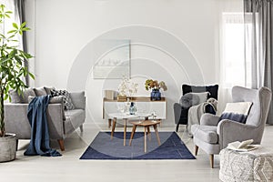 Elegant white, grey and blue living room interior with scandinavian sofa and velvet armchair