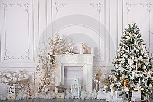 Elegant white interior with Christmas decoration