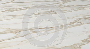 Elegant White Marble Texture