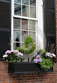 Elegant Window Box