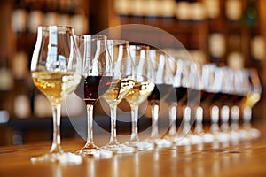 Elegant wine tasting setup with rows of various wine glasses