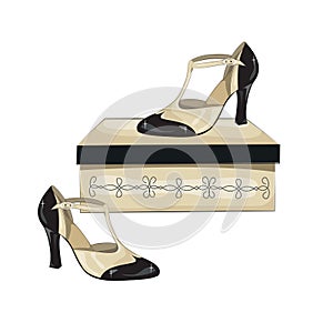 Elegant women's shoes on the box.