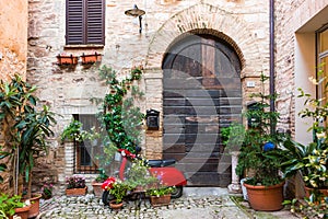 Elegant wooden door