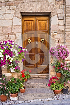 Elegant wooden door with flowers