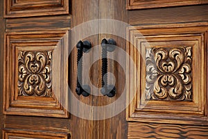 Elegantní dřevěný dveře 