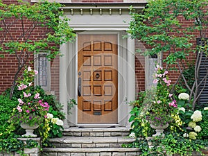 Elegant wooden front door