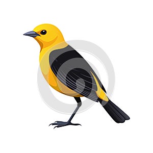 Elegant Yellow-headed Blackbird Bird Vector