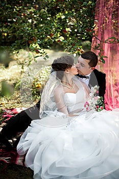 Elegant young happy wedding couple is sitting at green grass on