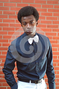 Elegant young man handsome look bow tie black shirt