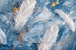 Elegantly arranged feathers on a blue marble background with golden accents