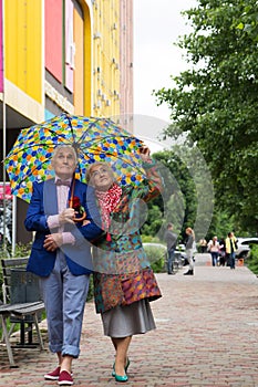 Elegantly dressed elderly couple walking under an umbrella.