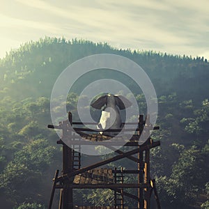 Elephant sitting on a wood tower looking at a forest .