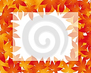 Maple leaf illustration frame background