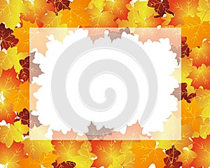 Maple leaf illustration frame background