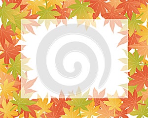Maple leaf illustration frame background