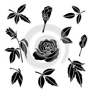 Element of black rose and leaves, decorative flower vector