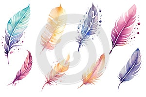 Element bright art feather graphic bird illustration