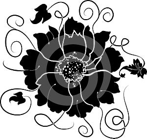 Element for design, flower, vector