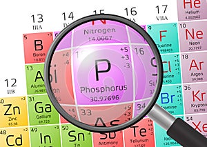 Element of Phosphorus with magnifying glass