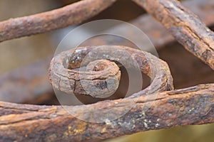 Element of a very rusty wrought iron fence. Abandoned architectural buildings