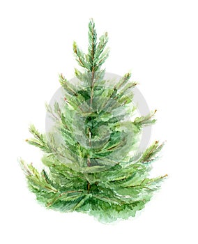 Element of watercolor fir-tree design for cards, posters, Christmas cards. Isolated background. photo