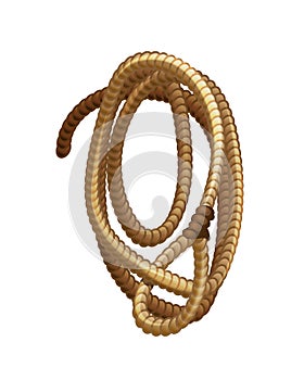 Element of the wild west, lasso rope for cowboys.