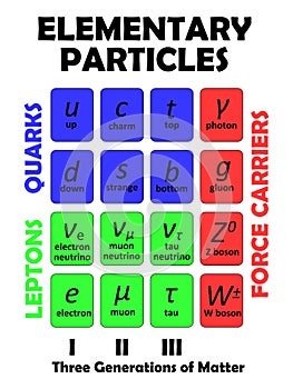 Elementary particles