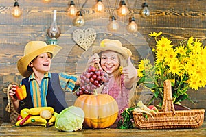 Elementary school fall festival idea. Autumn harvest festival. Children play vegetables pumpkin. Kids girl boy wear