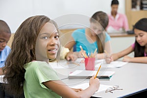 Elementary school pupil in classroom