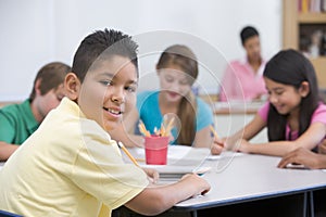 Elementary school pupil in classroom