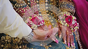 Elements of Beautiful woman dressed in traditional Indian hindu wedding. Couple standing together and hold hands