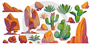 Elements for creating desert arizona landscape