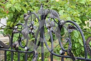 Elements of decorative floral ornament in fence