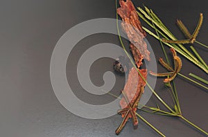 Elements dry leaves with scented bark lay out autumn for frame flowers  fall thanksgiving day concept flat lay top view