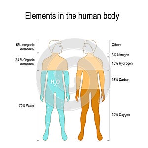 Elements of the Human Body