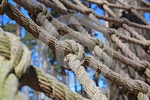 Elements of a rope park, stairs, platforms on trees, Outdoor activities