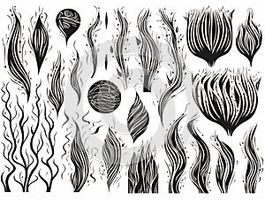 elements set with textures and arrrows. in hand-drawn style