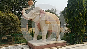 the Elephant