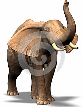 Ein elefant 